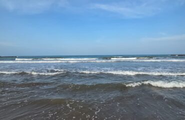 Tu verano perfecto Tu verano perfecto