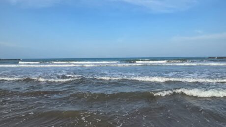 Tu verano perfecto Tu verano perfecto