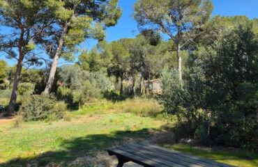 Recibir la primavera con más energia