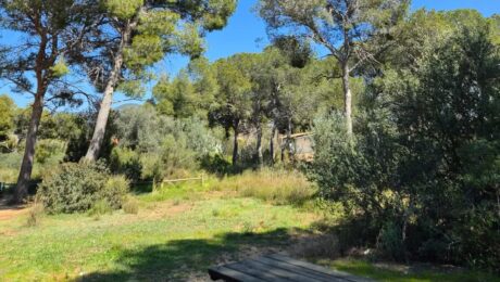 Recibir la primavera con más energia Recibir la primavera con más energia