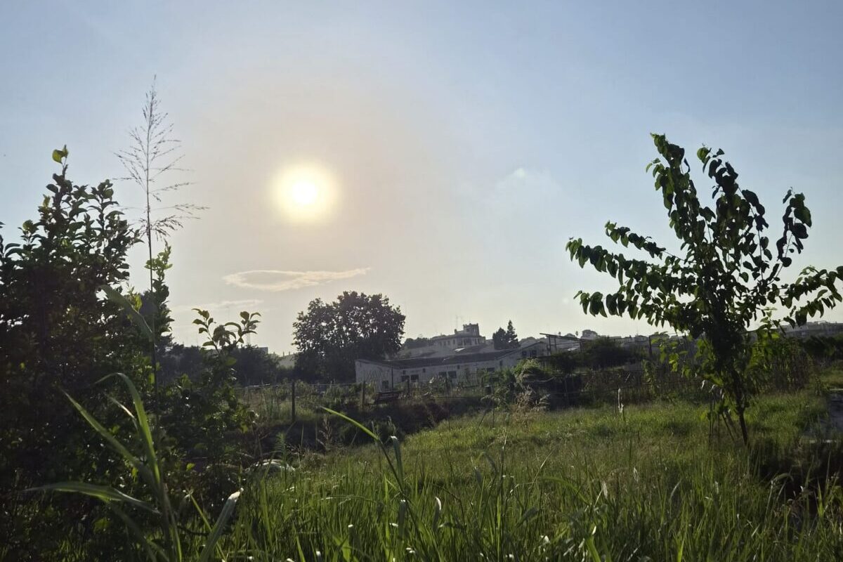 Una pausa para volver en ti este verano